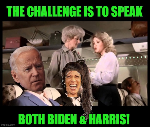 I speak jive | THE CHALLENGE IS TO SPEAK BOTH BIDEN & HARRIS! | image tagged in i speak jive | made w/ Imgflip meme maker