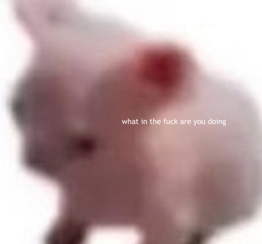 what in the fuck are you doing Blank Meme Template