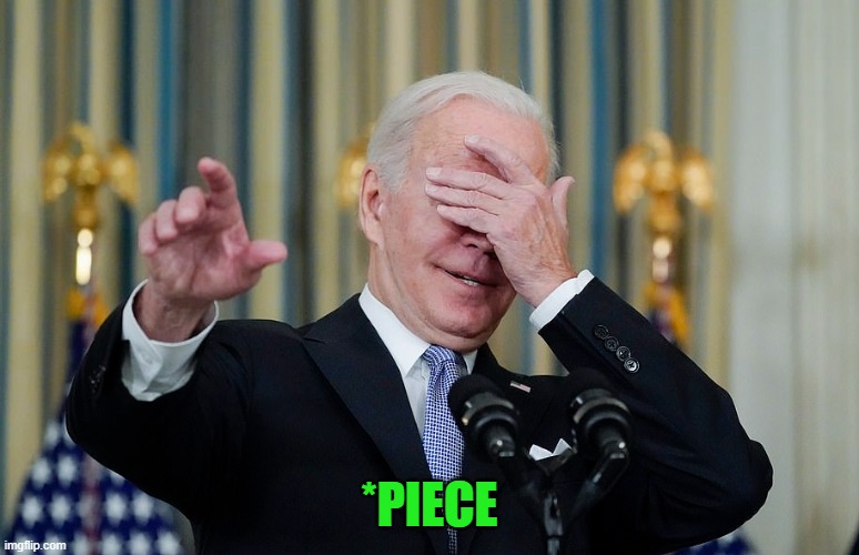 Idiot Joe Biden Facepalm | *PIECE | image tagged in idiot joe biden facepalm | made w/ Imgflip meme maker