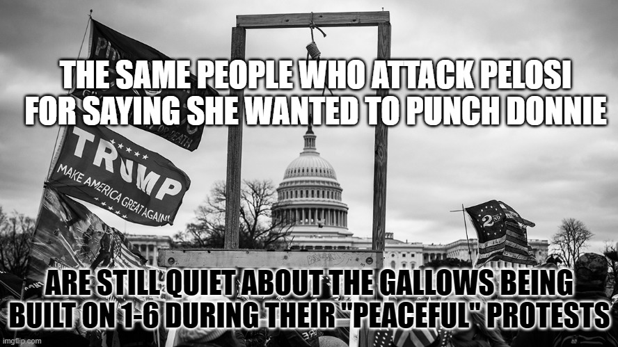Noose at the Capitol | THE SAME PEOPLE WHO ATTACK PELOSI FOR SAYING SHE WANTED TO PUNCH DONNIE; ARE STILL QUIET ABOUT THE GALLOWS BEING BUILT ON 1-6 DURING THEIR "PEACEFUL" PROTESTS | image tagged in noose at the capitol | made w/ Imgflip meme maker