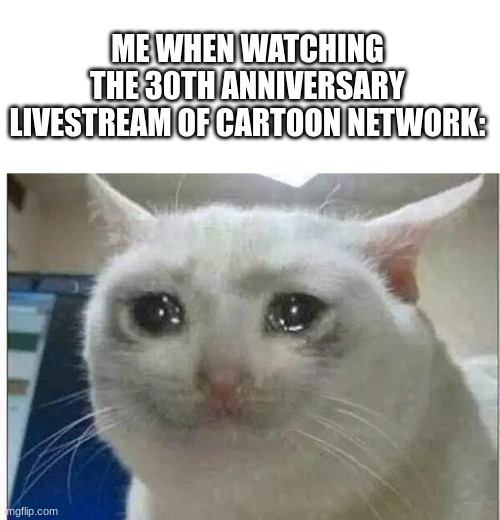 Happy 30th, CN!!! | ME WHEN WATCHING THE 30TH ANNIVERSARY LIVESTREAM OF CARTOON NETWORK: | image tagged in crying cat | made w/ Imgflip meme maker