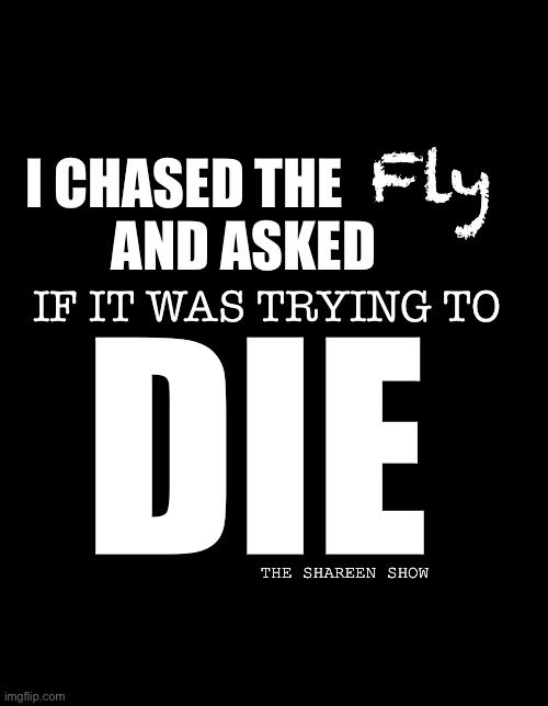 Awareness | Fly; I CHASED THE             AND ASKED; IF IT WAS TRYING TO; DIE; THE SHAREEN SHOW | image tagged in mental health,abuse,violence,chasing | made w/ Imgflip meme maker