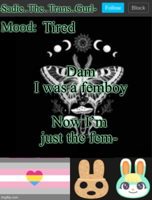 Lol | Tired; Dam
I was a femboy; Now I’m just the fem- | image tagged in sadiesannouncement temp | made w/ Imgflip meme maker