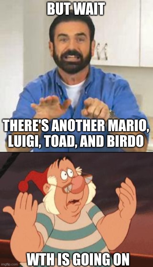 BUT WAIT THERE'S ANOTHER MARIO, LUIGI, TOAD, AND BIRDO WTH IS GOING ON | image tagged in but wait there's more,what's going on | made w/ Imgflip meme maker