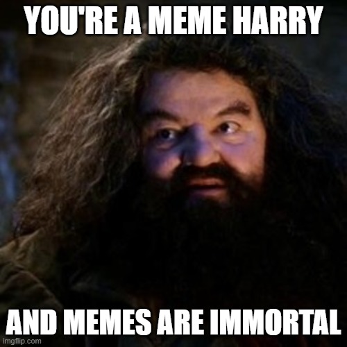 You're a wizard harry | YOU'RE A MEME HARRY; AND MEMES ARE IMMORTAL | image tagged in you're a wizard harry | made w/ Imgflip meme maker