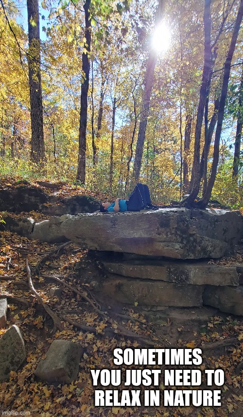 Relax in nature | SOMETIMES YOU JUST NEED TO RELAX IN NATURE | image tagged in relaxing,nature | made w/ Imgflip meme maker