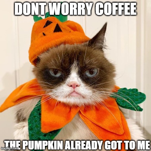 Grumpy Cat Halloween | DONT WORRY COFFEE THE PUMPKIN ALREADY GOT TO ME | image tagged in grumpy cat halloween | made w/ Imgflip meme maker