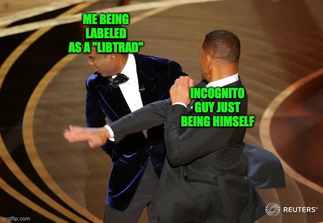 Will Smith punching Chris Rock | ME BEING LABELED AS A "LIBTRAD" INCOGNITO GUY JUST BEING HIMSELF | image tagged in will smith punching chris rock | made w/ Imgflip meme maker