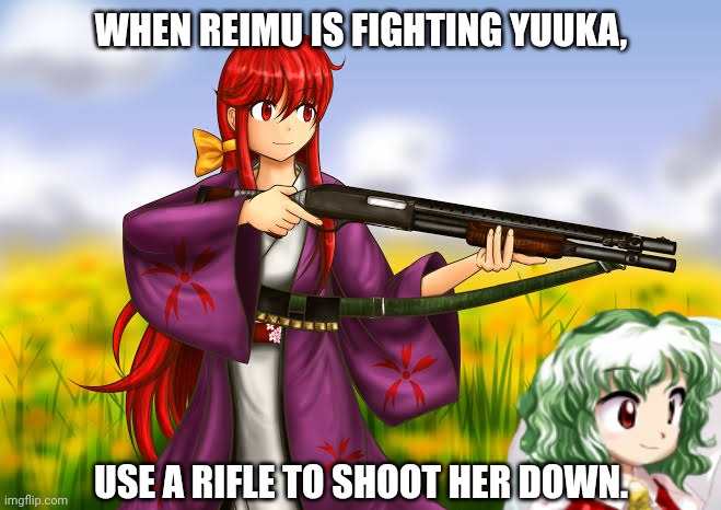 WHEN REIMU IS FIGHTING YUUKA, USE A RIFLE TO SHOOT HER DOWN. | image tagged in memes,touhou,gun | made w/ Imgflip meme maker