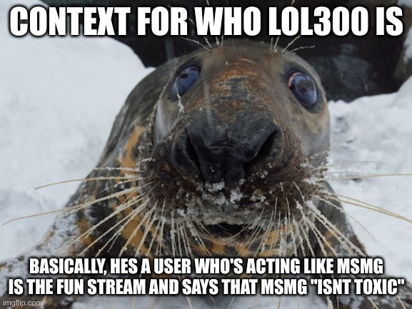 his name's bim bim | CONTEXT FOR WHO LOL300 IS; BASICALLY, HES A USER WHO'S ACTING LIKE MSMG IS THE FUN STREAM AND SAYS THAT MSMG "ISNT TOXIC" | image tagged in his name's bim bim | made w/ Imgflip meme maker