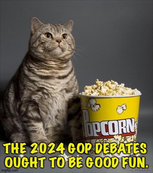 Especially if Trump runs | THE 2024 GOP DEBATES 
OUGHT TO BE GOOD FUN. | image tagged in cat eating popcorn | made w/ Imgflip meme maker