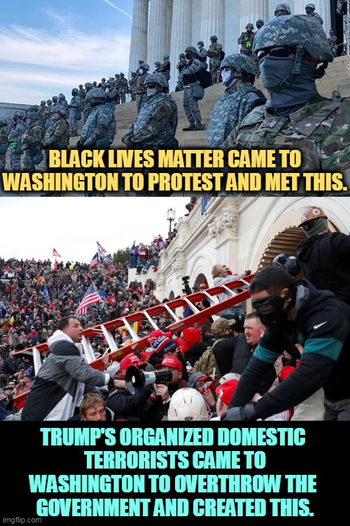 Not quite the same thing. |  BLACK LIVES MATTER CAME TO WASHINGTON TO PROTEST AND MET THIS. TRUMP'S ORGANIZED DOMESTIC 
TERRORISTS CAME TO WASHINGTON TO OVERTHROW THE 
GOVERNMENT AND CREATED THIS. | image tagged in qanon - insurrection - trump riot - sedition,black lives matter,legal,oath keepers,proud boys,mob | made w/ Imgflip meme maker