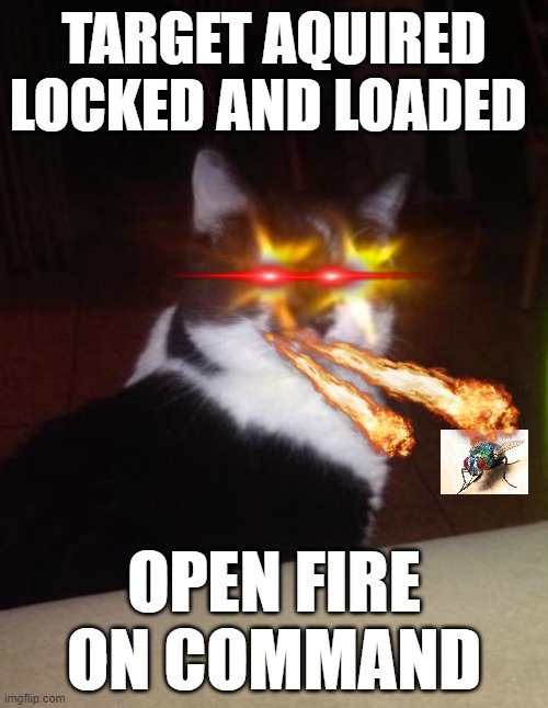 target aquired | TARGET AQUIRED LOCKED AND LOADED; OPEN FIRE ON COMMAND | image tagged in target aquired | made w/ Imgflip meme maker