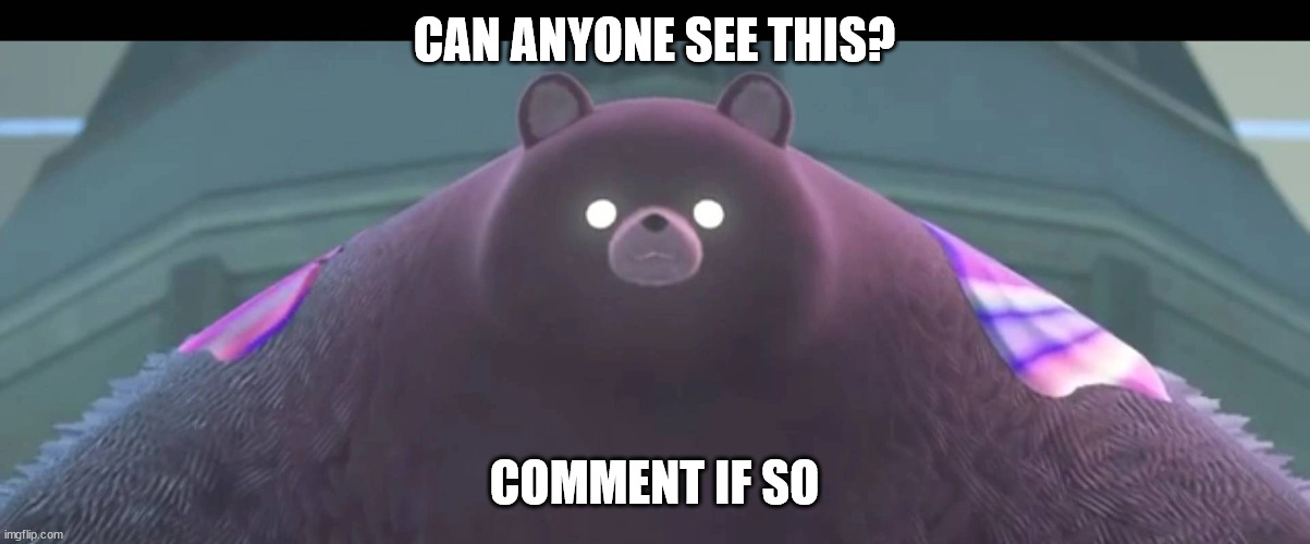 zfsdjkvduifdxh'gado/ufrs0oigf | CAN ANYONE SEE THIS? COMMENT IF SO | image tagged in mr grizz | made w/ Imgflip meme maker