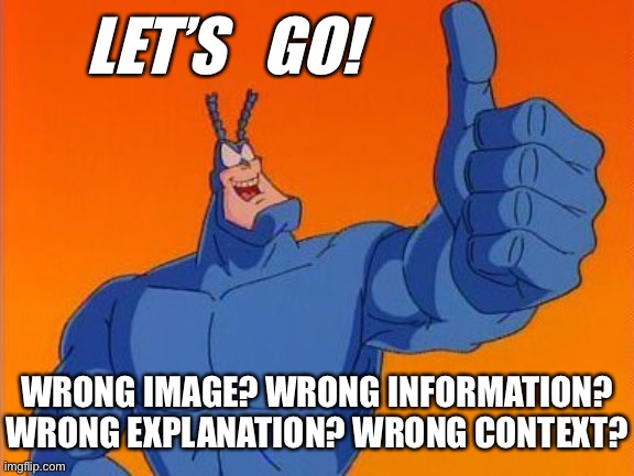 The Tick thumbs up | LET’S   GO! WRONG IMAGE? WRONG INFORMATION?
WRONG EXPLANATION? WRONG CONTEXT? | image tagged in the tick thumbs up | made w/ Imgflip meme maker