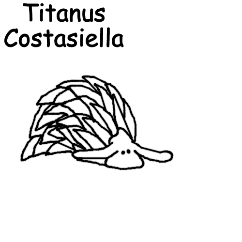 High Quality Titanus Costasiella Blank Meme Template