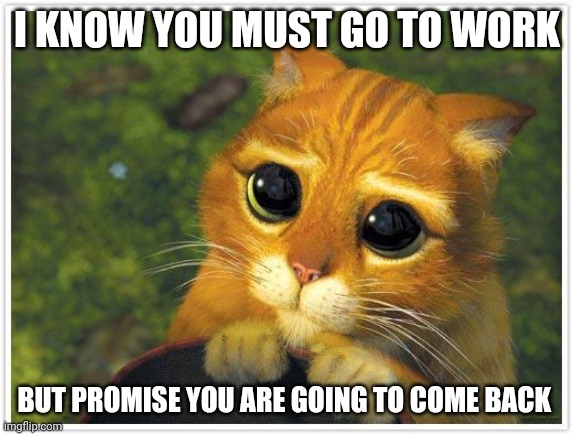 Shrek Cat | I KNOW YOU MUST GO TO WORK; BUT PROMISE YOU ARE GOING TO COME BACK | image tagged in memes,shrek cat | made w/ Imgflip meme maker