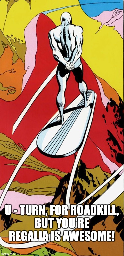 Silver Surfer Leaving | U - TURN, FOR ROADKILL,
BUT YOU’RE REGALIA IS AWESOME! | image tagged in silver surfer leaving | made w/ Imgflip meme maker