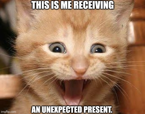 Excited Cat |  THIS IS ME RECEIVING; AN UNEXPECTED PRESENT. | image tagged in memes,excited cat | made w/ Imgflip meme maker