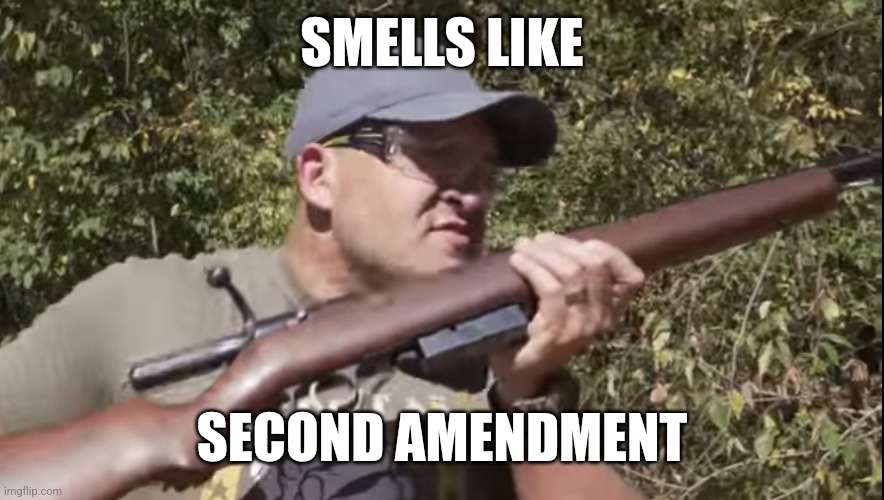 Smells Like Second Amendment | SMELLS LIKE; SECOND AMENDMENT | image tagged in guns | made w/ Imgflip meme maker