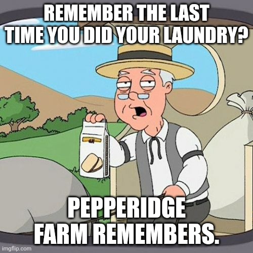Do it. Now. | REMEMBER THE LAST TIME YOU DID YOUR LAUNDRY? PEPPERIDGE FARM REMEMBERS. | image tagged in memes,pepperidge farm remembers,laundry | made w/ Imgflip meme maker