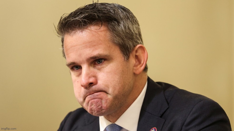 Adam Kinzinger crying | image tagged in adam kinzinger crying | made w/ Imgflip meme maker