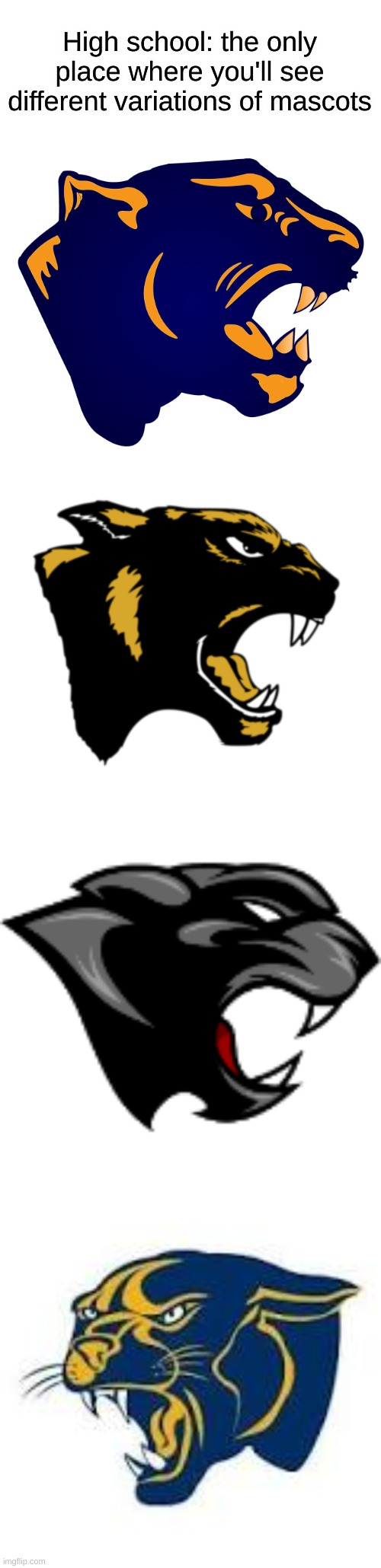 Panther edition | High school: the only place where you'll see different variations of mascots | made w/ Imgflip meme maker