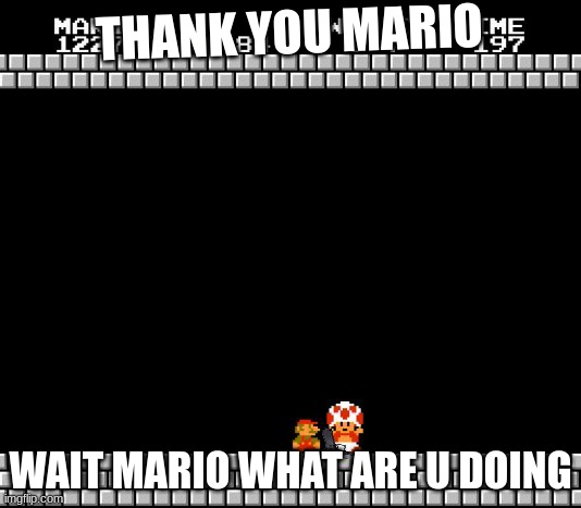 thank u but our princess oh snap bro | THANK YOU MARIO; WAIT MARIO WHAT ARE U DOING | image tagged in thank you mario | made w/ Imgflip meme maker
