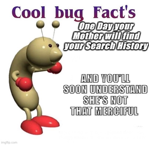 Cool Bug Fact’s | One Day your Mother will find your Search History; AND YOU’LL SOON UNDERSTAND SHE’S NOT THAT MERCIFUL | image tagged in cool bug facts,search history | made w/ Imgflip meme maker