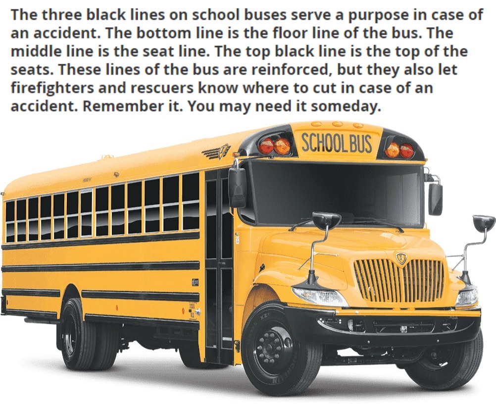 School Bus Safety Lesson | image tagged in school bus,safety,save the children | made w/ Imgflip meme maker