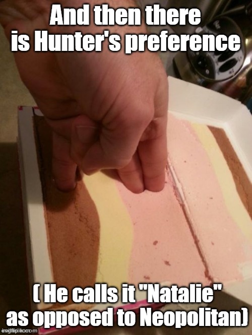 And then there is Hunter's preference ( He calls it "Natalie" as opposed to Neopolitan) | made w/ Imgflip meme maker