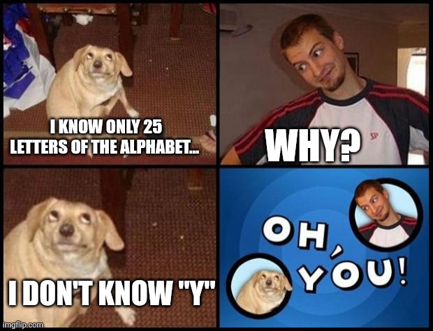 Dad joke | WHY? I KNOW ONLY 25 LETTERS OF THE ALPHABET... I DON'T KNOW "Y" | image tagged in oh you | made w/ Imgflip meme maker