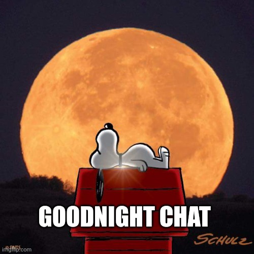 Goodnight | GOODNIGHT CHAT | image tagged in goodnight | made w/ Imgflip meme maker