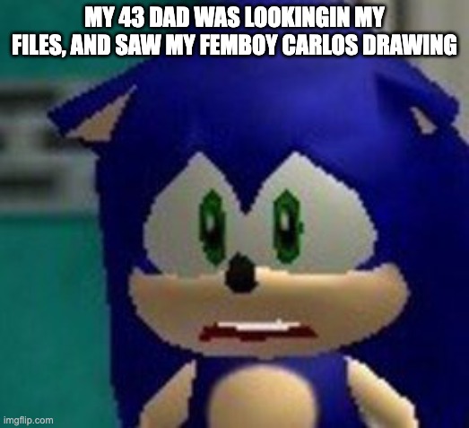 Sonic sad face | MY 43 DAD WAS LOOKINGIN MY FILES, AND SAW MY FEMBOY CARLOS DRAWING | image tagged in sonic sad face | made w/ Imgflip meme maker