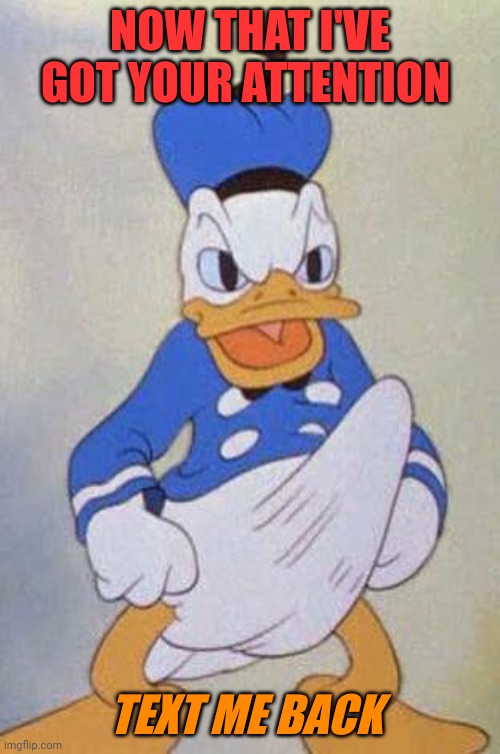 Best Duck Pic |  NOW THAT I'VE GOT YOUR ATTENTION; TEXT ME BACK | image tagged in horny donald duck | made w/ Imgflip meme maker