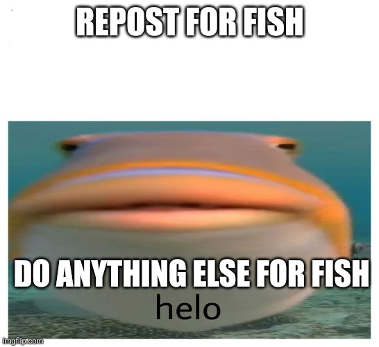 helo fish | REPOST FOR FISH; DO ANYTHING ELSE FOR FISH | image tagged in helo fish | made w/ Imgflip meme maker