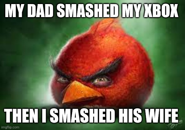 12 year old me: | MY DAD SMASHED MY XBOX; THEN I SMASHED HIS WIFE | image tagged in realistic red angry birds,read the title,ayo | made w/ Imgflip meme maker