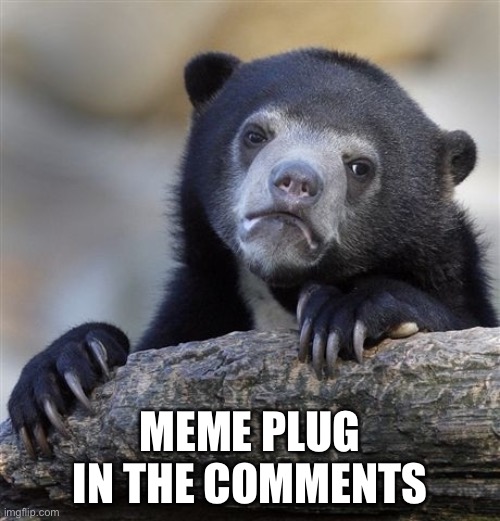 please see | MEME PLUG IN THE COMMENTS | image tagged in memes,confession bear | made w/ Imgflip meme maker