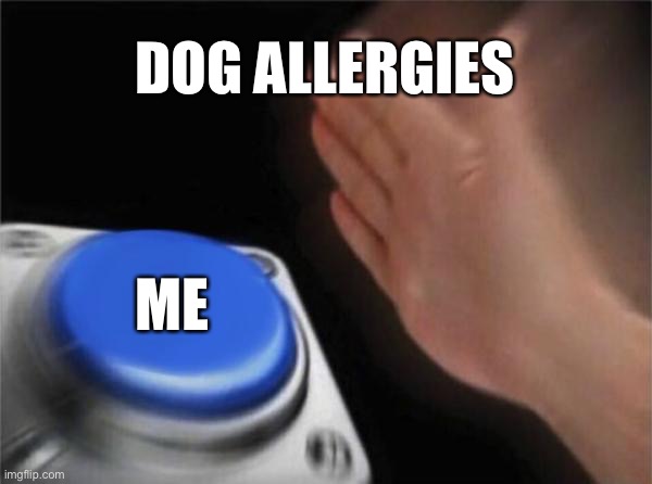 When I have an allergy to dogs | DOG ALLERGIES; ME | image tagged in memes,blank nut button | made w/ Imgflip meme maker