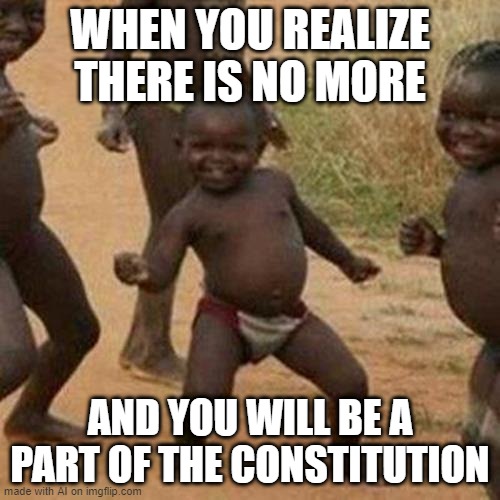 Third World Success Kid | WHEN YOU REALIZE THERE IS NO MORE; AND YOU WILL BE A PART OF THE CONSTITUTION | image tagged in memes,third world success kid | made w/ Imgflip meme maker