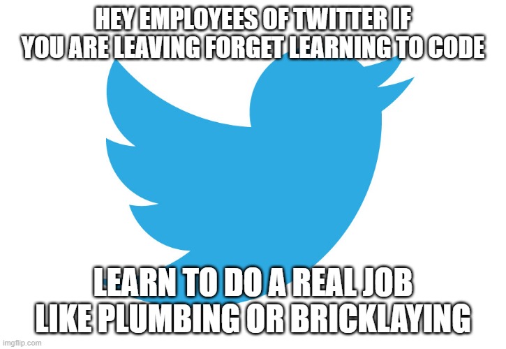 Twitter | HEY EMPLOYEES OF TWITTER IF YOU ARE LEAVING FORGET LEARNING TO CODE; LEARN TO DO A REAL JOB LIKE PLUMBING OR BRICKLAYING | image tagged in twitter | made w/ Imgflip meme maker