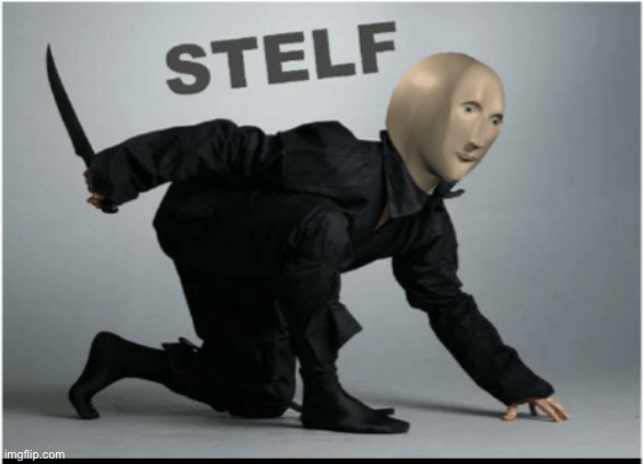 Stelf | image tagged in stelf | made w/ Imgflip meme maker