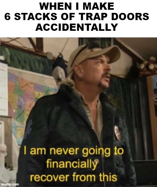 Trap doors are expensive | WHEN I MAKE 
6 STACKS OF TRAP DOORS 
ACCIDENTALLY | image tagged in tiger king finances,minecraft | made w/ Imgflip meme maker