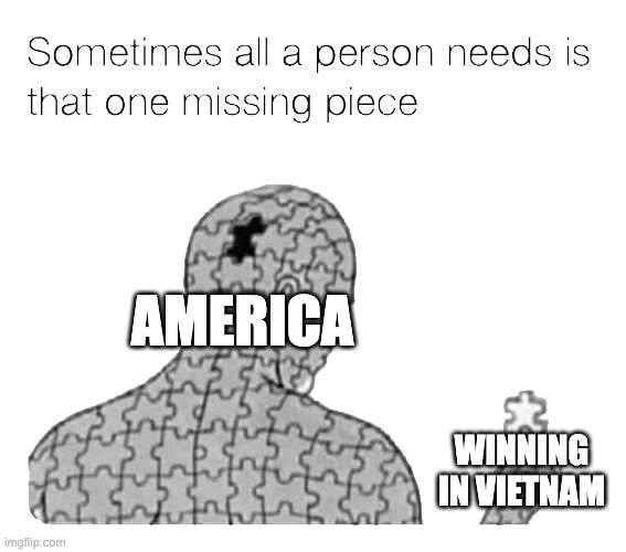 Vietnam and Murica | AMERICA; WINNING IN VIETNAM | image tagged in that one missing piece | made w/ Imgflip meme maker