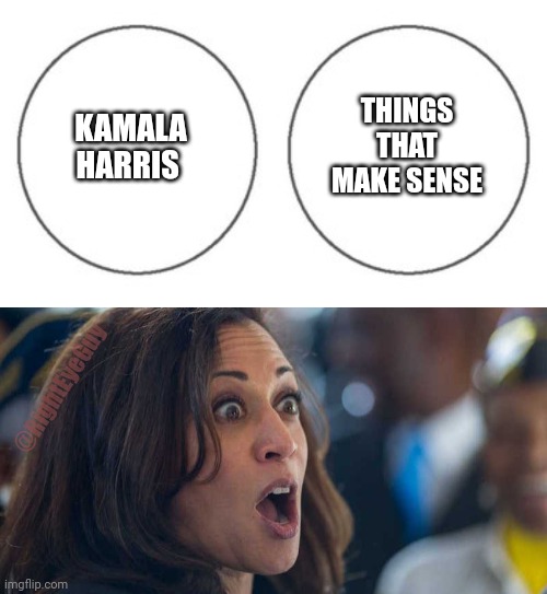 Kamala loves venn diagrams | THINGS THAT MAKE SENSE; KAMALA HARRIS; @RightEyeGuy | image tagged in non overlapping venn diagram,kamala harriss | made w/ Imgflip meme maker
