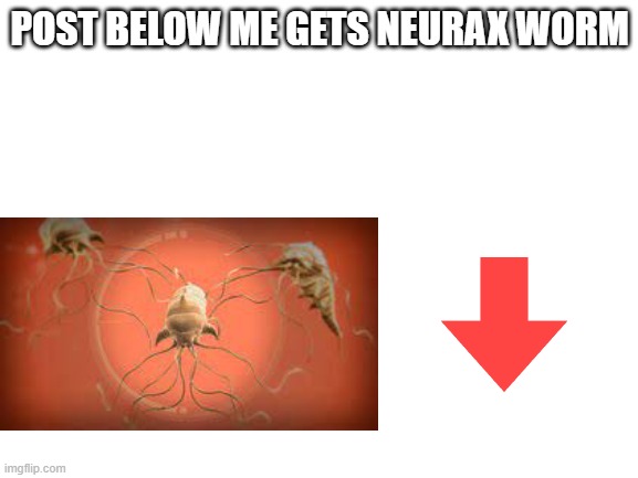 Blank White Template | POST BELOW ME GETS NEURAX WORM | image tagged in blank white template | made w/ Imgflip meme maker