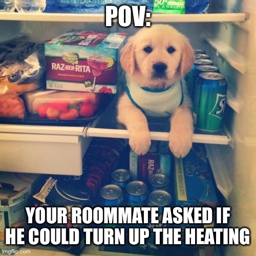 cold doggo | POV:; YOUR ROOMMATE ASKED IF HE COULD TURN UP THE HEATING | image tagged in icy doggo | made w/ Imgflip meme maker