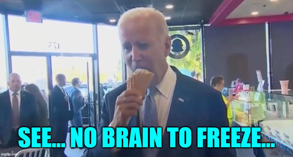 SEE... NO BRAIN TO FREEZE... | made w/ Imgflip meme maker