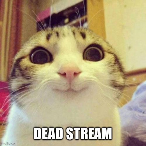 Smiling Cat | DEAD STREAM | image tagged in memes,smiling cat | made w/ Imgflip meme maker