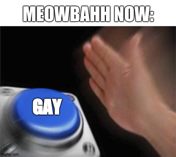 ... | MEOWBAHH NOW:; GAY | image tagged in memes,blank nut button | made w/ Imgflip meme maker